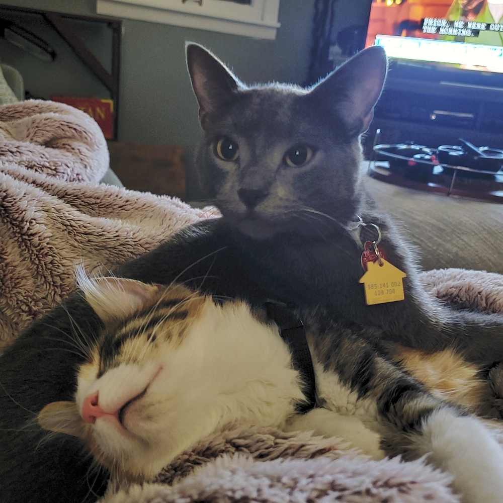 Meet your Posher, Ashley